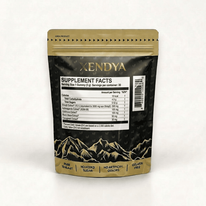 Kidney Support Shilajit Gummies